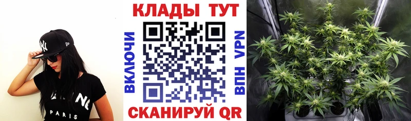 Названия наркотиков Малмыж Псилоцибиновые грибы  АМФ  Cocaine  блэк спрут ссылка  Меф мяу мяу  Марихуана  ГАШ 